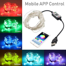 Load image into Gallery viewer, Christmas Tree Decor Bluetooth Led String Lights