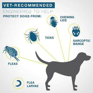 Flea and Tick Collar for Dogs