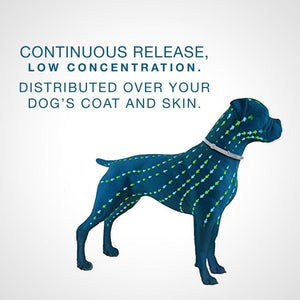 Flea and Tick Collar for Dogs