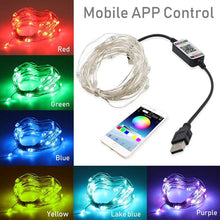 Load image into Gallery viewer, Christmas Tree Decor Bluetooth Led String Lights